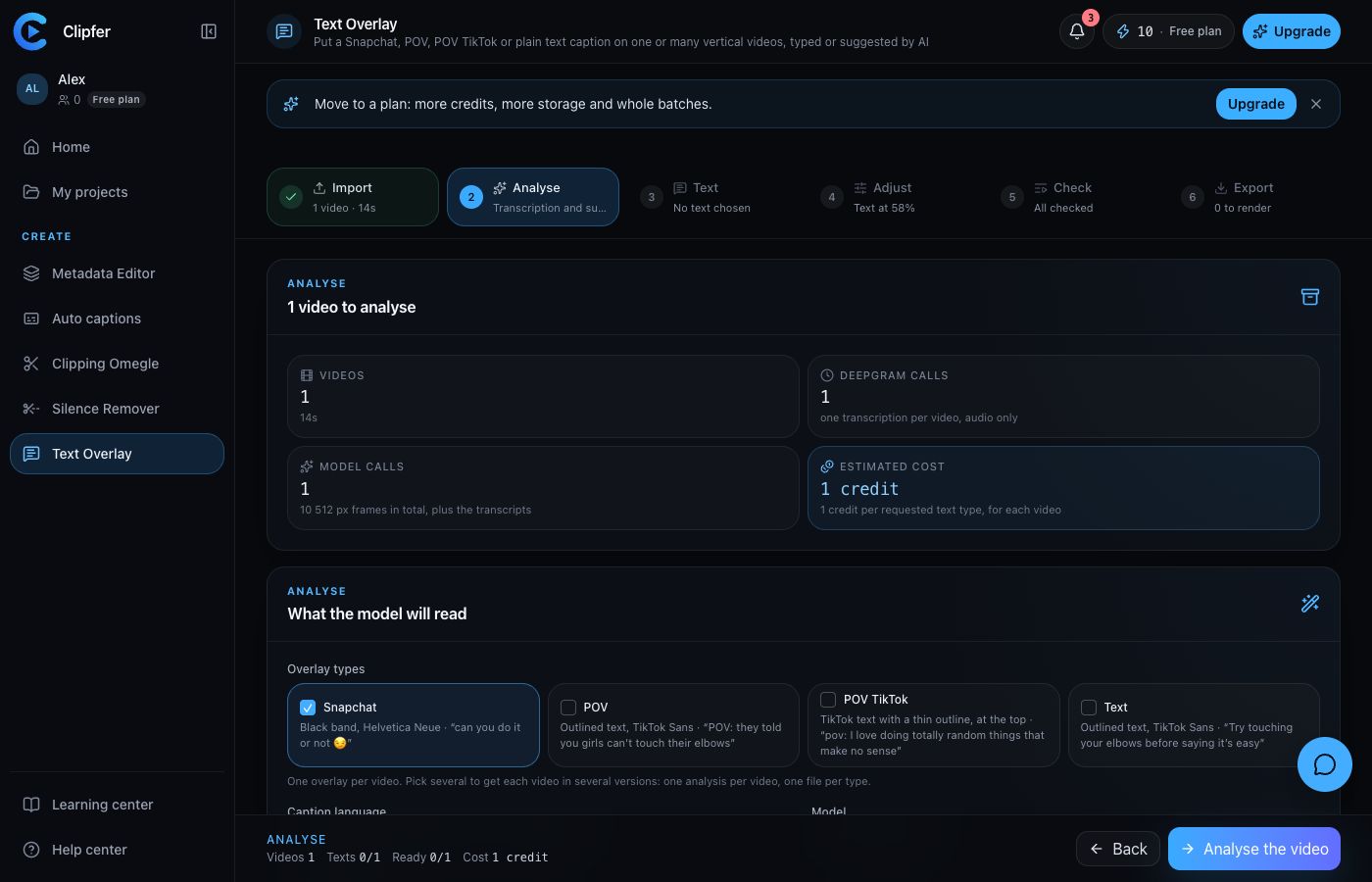 The Analyse step: the text types to request from the model, before launching