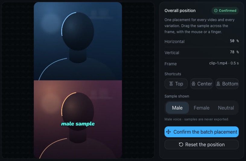 The vertical preview with a sample caption and the placement panel.
