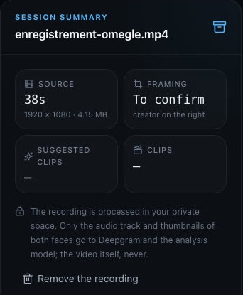 The session summary: source, framing, suggested clips, clips.
