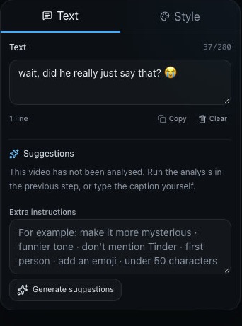 The Text panel: the caption kept, the suggestions and the extra instructions.
